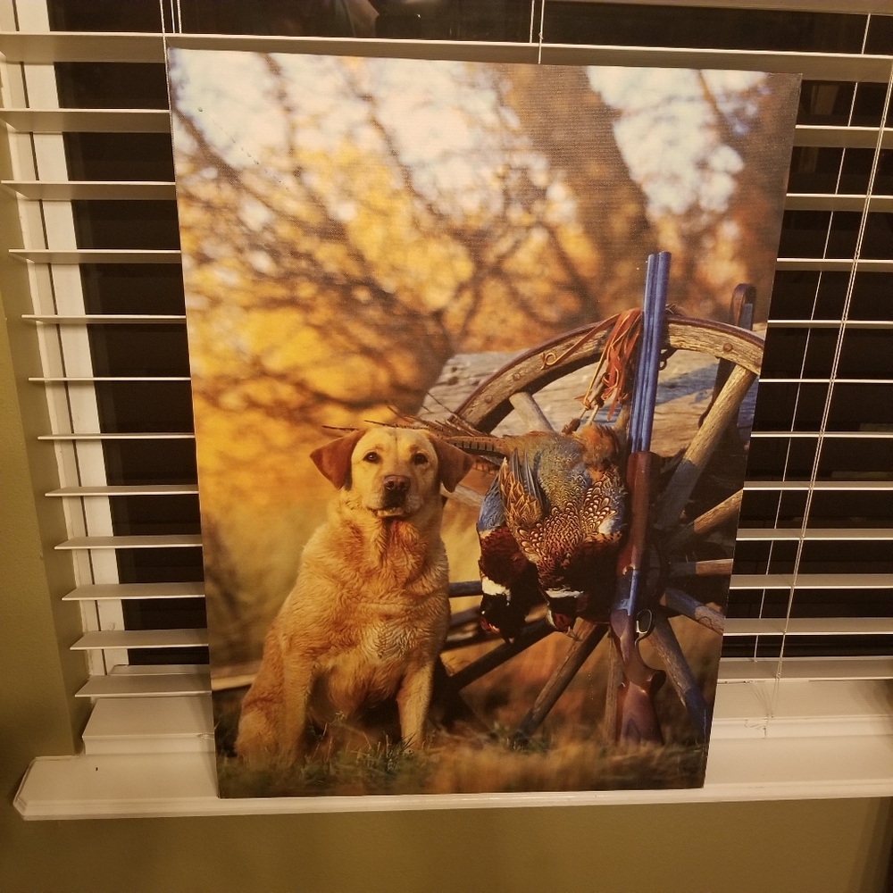Labrador Retriever Americana Art Print